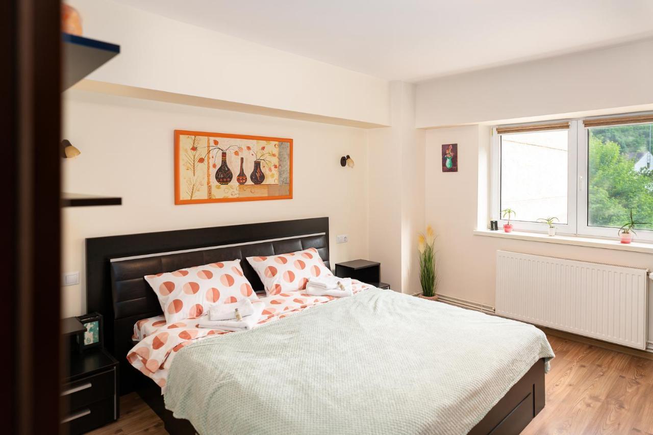 Apartamento Metropolitan Wildscape View Braşov Exterior foto